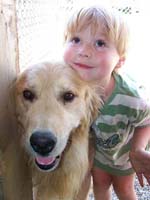 tangleloftgoldens.com buzz and ace1