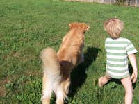 tangleloftgoldens.com buzz and ace4