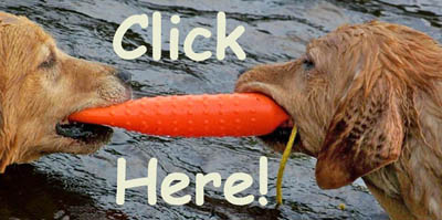 click here