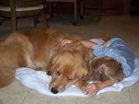 tangleloftgoldens.com hooch and ace1