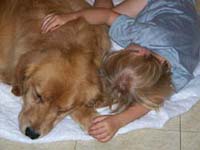 tangleloftgoldens.com hooch and ace 2