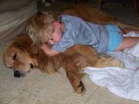 tanglelofgoldens.com hooch and ace 3