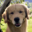 mason