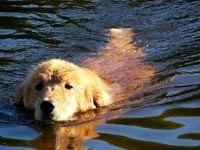 hooch aug 22 2