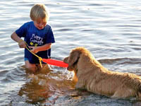 tangleloft goldens aug1