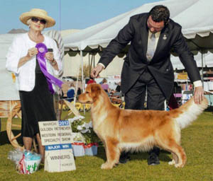 tangleloft male golden named vegas