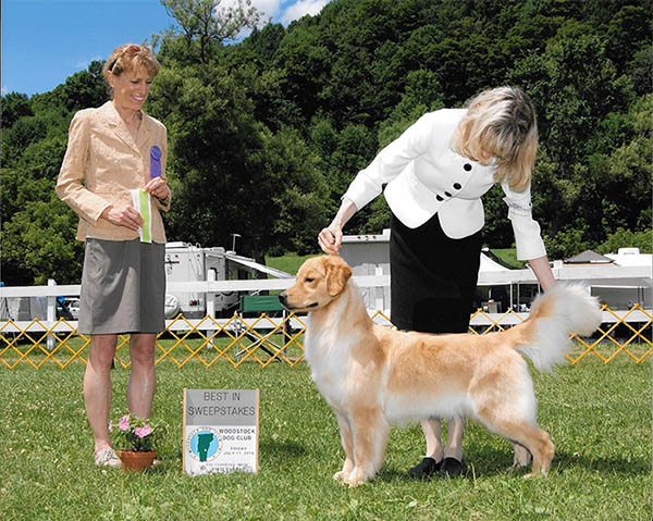 philly best in specialty sweepstakes