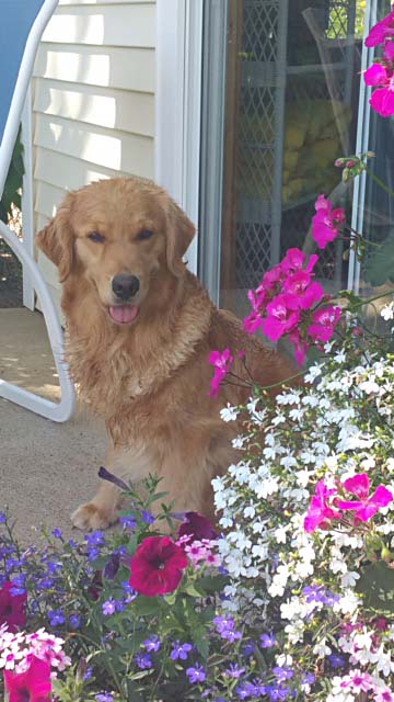 philly CH Tangleloft Take That BISS