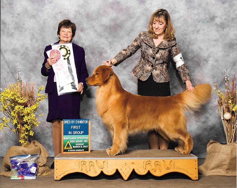 reno first in bred by group