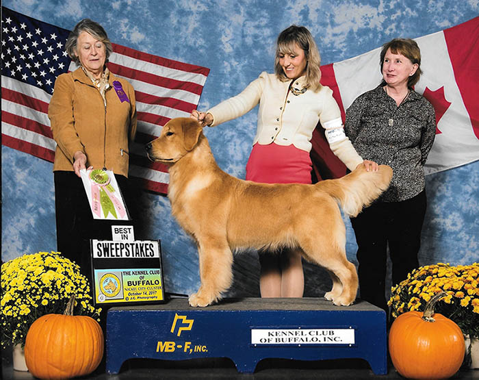 valor best in specialty show