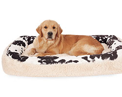 tangleloft goldens lily