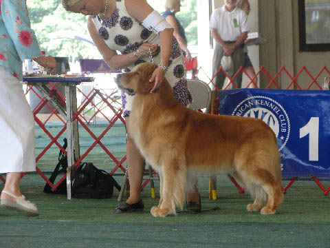 hooch asheville kc show