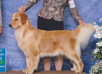 Cleo, CH Tangleloft Closing Remark