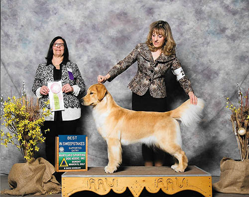 roxy best in specialty sweepstakes