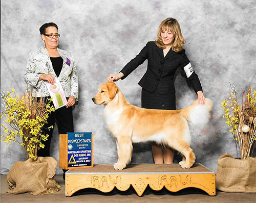 roxy best in specialty sweepstakes