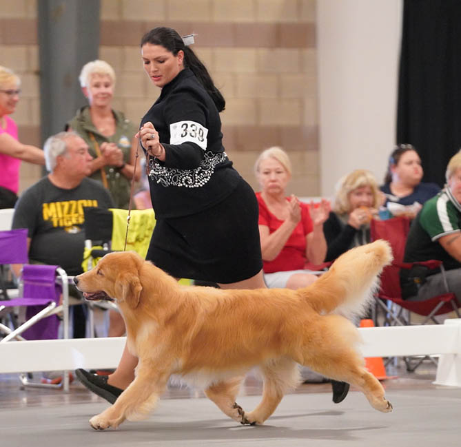 vegas 9.5 yrs old 2022 grca national