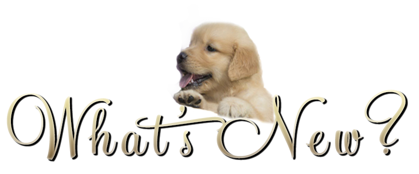 tangleloft goldens what's new